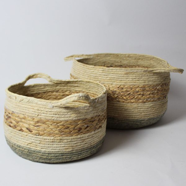 Mand Macaw (set van 2) - Image 2